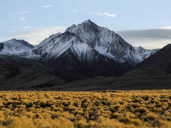 DualFixer Clone DualFixer Clone