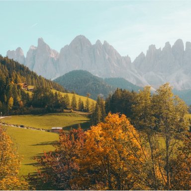 gallery-19.jpg gallery 19